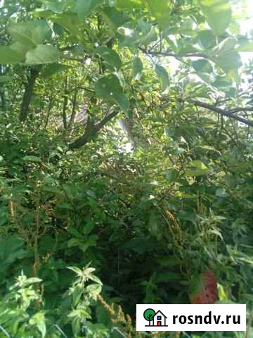 Участок ИЖС 19 сот. на продажу в Сафоново Смоленской области Сафоново - изображение 1