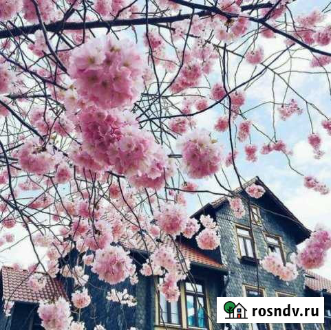 Участок ИЖС 15 сот. на продажу в Балаково Балаково - изображение 1