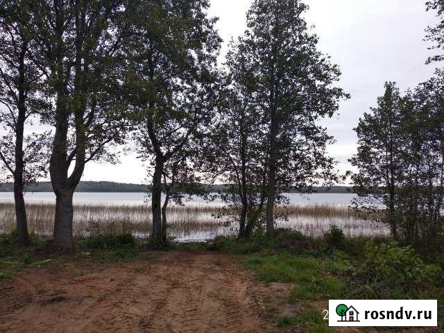 Участок ИЖС 50 сот. на продажу в Андреаполе Андреаполь - изображение 1