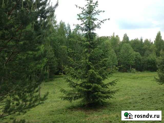 Участок ИЖС 17 сот. на продажу в Кириллове Кириллов - изображение 1