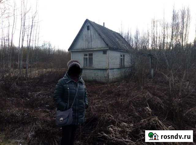 Дача 20 м² на участке 12 сот. на продажу в Кингисеппе Кингисепп - изображение 1