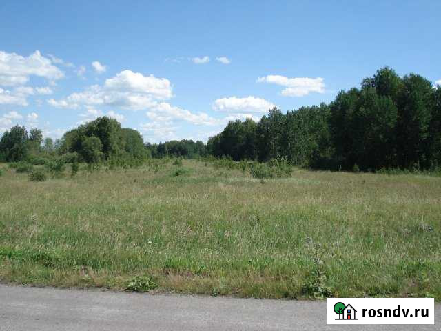 Участок СНТ, ДНП 1460 сот. на продажу в Байкалово Байкалово - изображение 1