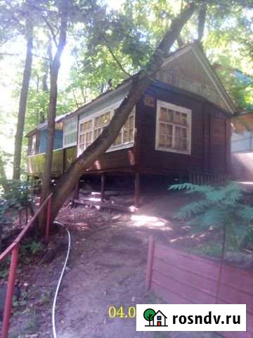 Дача 35 м² на участке 1 сот. на продажу в Воронеже Воронеж - изображение 1