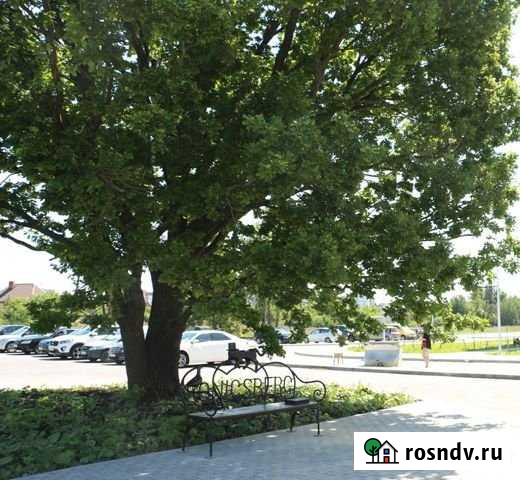 1-комнатная квартира, 28 м², 6/9 эт. на продажу в Калининграде Калининград - изображение 1