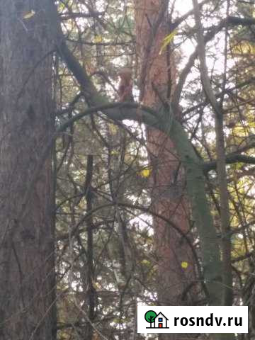 1-комнатная квартира, 37 м², 2/3 эт. на продажу в Кемерово Кемерово - изображение 1