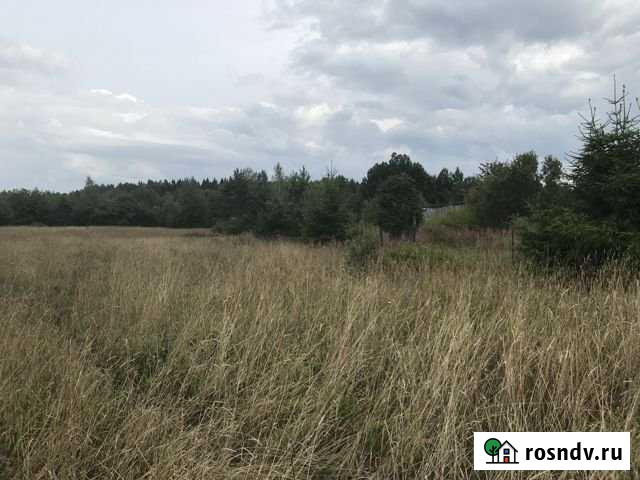 Участок ИЖС 30 сот. на продажу в Коробицыно Коробицыно - изображение 1