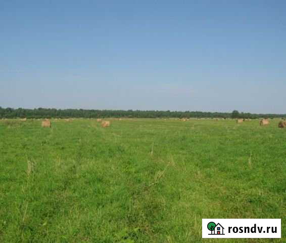 Участок СНТ, ДНП 450 сот. на продажу в Сураже Сураж - изображение 1