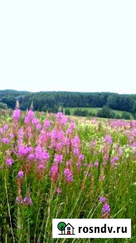 Участок ИЖС 10 сот. на продажу в Дзержинске Дзержинск - изображение 1