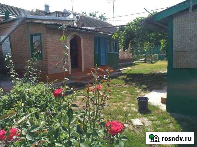 Дом 44 м² на участке 22 сот. на продажу в Фастовецкой Фастовецкая - изображение 1