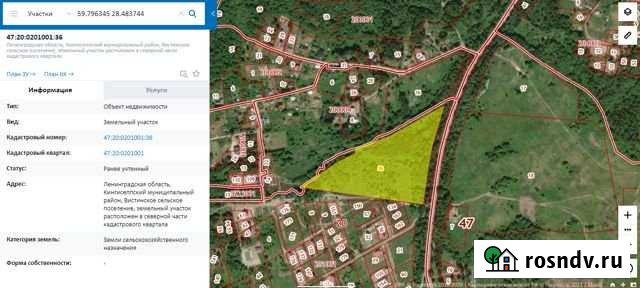 Участок ИЖС 411 сот. на продажу в Усть-Лугах Усть-Луга - изображение 1