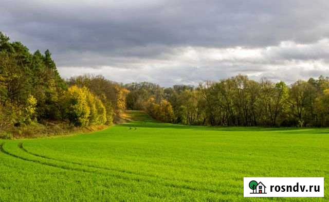 Участок СНТ, ДНП 100 сот. на продажу в Советском Ленинградской области Советский - изображение 1