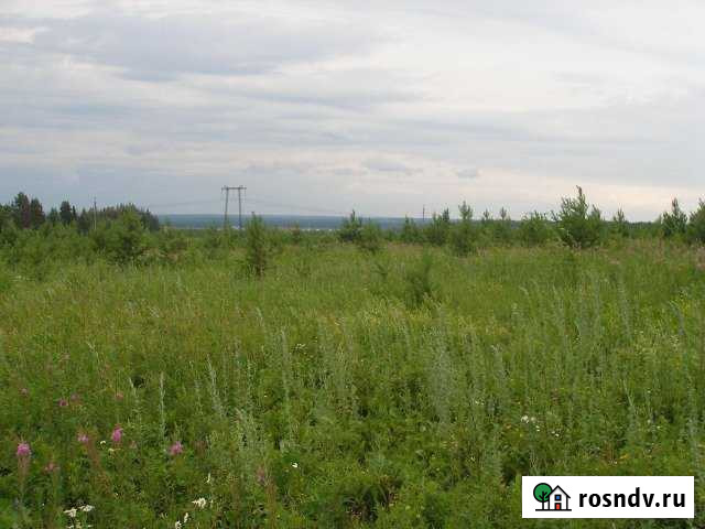 Участок ИЖС 100 сот. на продажу в Фоках Фоки - изображение 1