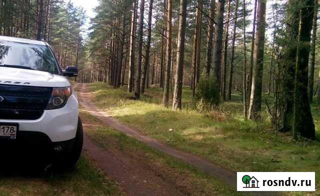 Участок СНТ, ДНП 130 сот. на продажу в Сосново Сосново - изображение 1