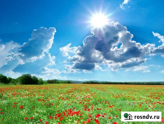 Участок СНТ, ДНП 10 сот. на продажу в Бийске Бийск - изображение 1