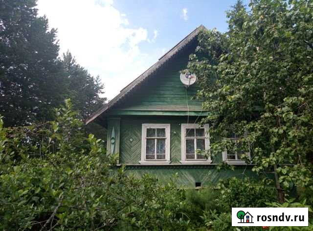 Участок ИЖС 100 сот. на продажу на Лугах Луга - изображение 1