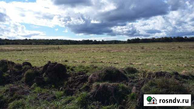 Участок промназначения 500 сот. на продажу в Калининграде Калининград - изображение 1