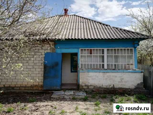 Дом 48 м² на участке 20 сот. на продажу в Вейделевке Вейделевка - изображение 1