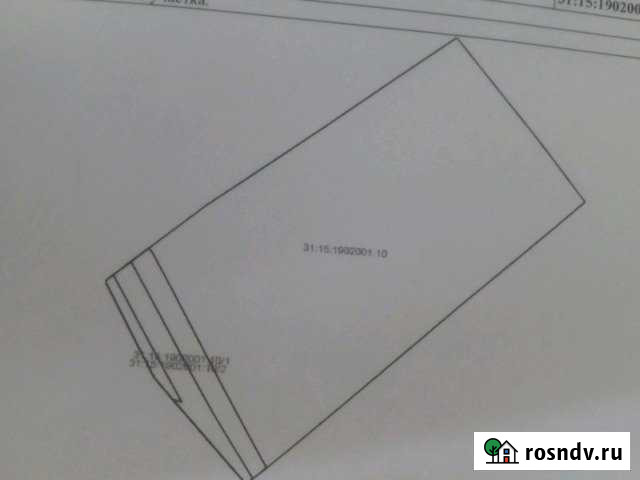 Участок ИЖС 37 сот. на продажу в Майском Белгородской области Майский - изображение 1
