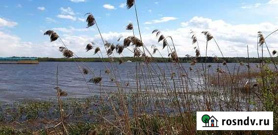 Участок ИЖС 45 сот. на продажу в Икше Икша - изображение 1