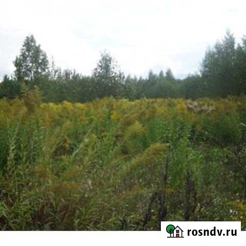 Участок СНТ, ДНП 7 сот. на продажу в Борском Борское - изображение 1