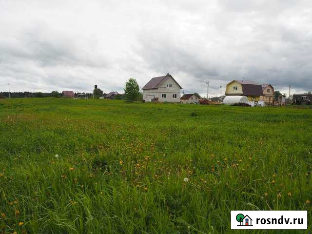 Участок ИЖС 30 сот. на продажу в Елизаветино Елизаветино - изображение 1