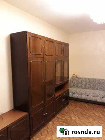 1-комнатная квартира, 31 м², 4/9 эт. в аренду на длительный срок в Санкт-Петербурге Санкт-Петербург - изображение 1