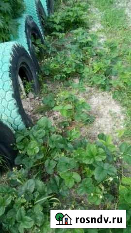 Дача 24 м² на участке 6 сот. на продажу в Тобольске Тобольск - изображение 1