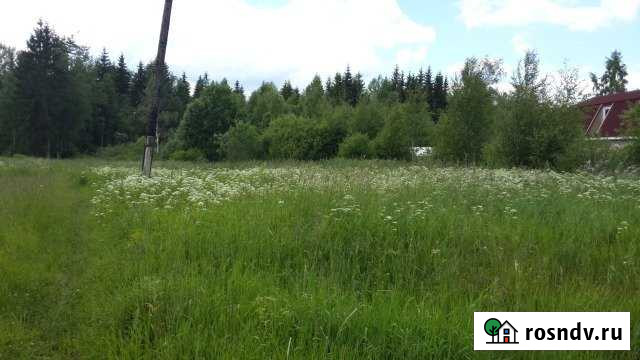 Участок ИЖС 12 сот. на продажу в Кингисеппе Кингисепп - изображение 1