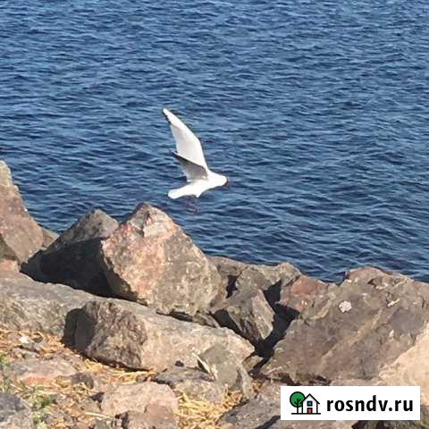 Дом 60 м² на участке 3 сот. на продажу в Колпино Колпино - изображение 1