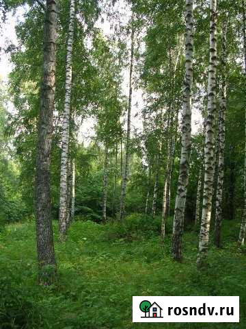 Участок ИЖС 695 сот. на продажу в Воротынце Воротынец - изображение 1