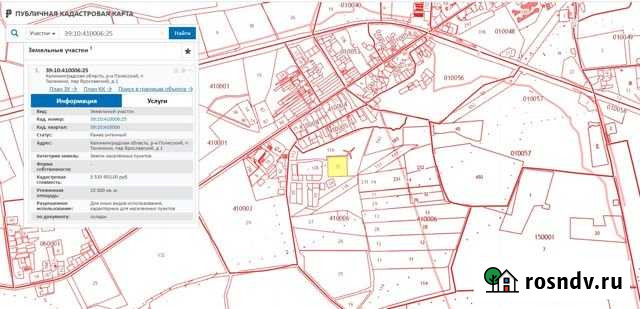 Участок СНТ, ДНП 150 сот. на продажу в Полесске Полесск - изображение 1