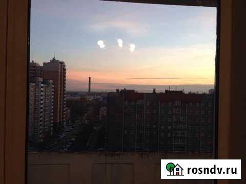 1-комнатная квартира, 36 м², 12/16 эт. в аренду на длительный срок в Санкт-Петербурге Санкт-Петербург - изображение 1