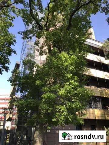 2-комнатная квартира, 70 м², 3/7 эт. на продажу в Светлогорске Светлогорск - изображение 1