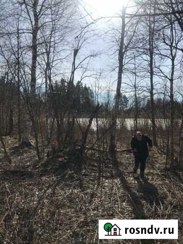 Участок ИЖС 20 сот. на продажу в Коммунарах Коммунары - изображение 1