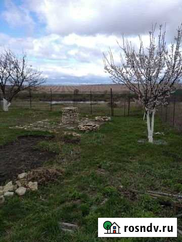 Дом 49 м² на участке 14 сот. на продажу в Рамони Рамонь - изображение 1