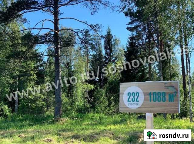 Участок СНТ, ДНП 13 сот. на продажу в Сосново Сосново - изображение 1