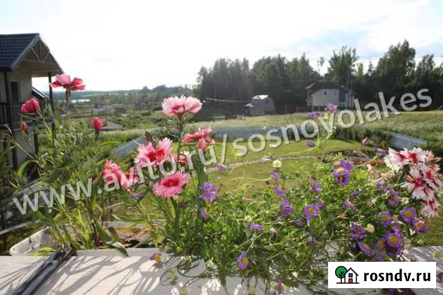 Участок СНТ, ДНП 9 сот. на продажу в Сосново Сосново - изображение 1