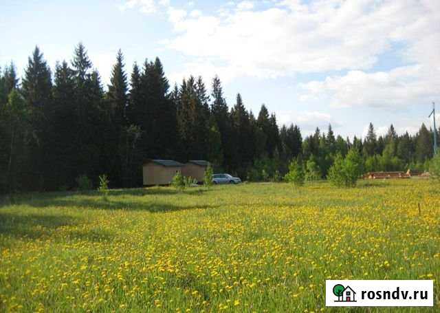 Участок СНТ, ДНП 14 сот. на продажу в Чернушке Чернушка - изображение 1