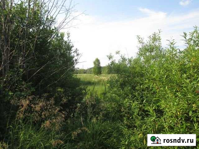 Участок СНТ, ДНП 20 сот. на продажу в Николо-Павловском Николо-Павловское - изображение 1