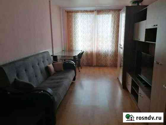 1-комнатная квартира, 40 м², 16/21 эт. в аренду на длительный срок в Санкт-Петербурге Санкт-Петербург