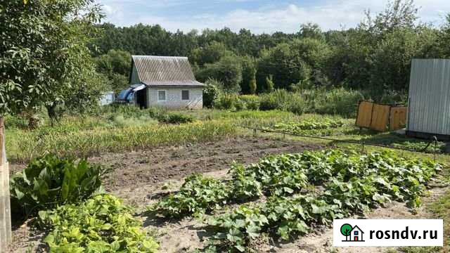 Дача 25 м² на участке 8 сот. на продажу в Железногорске Курской области Железногорск - изображение 1