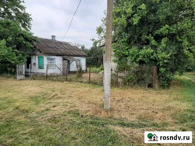 Участок ИЖС 50 сот. на продажу в Пшехской Пшехская - изображение 1