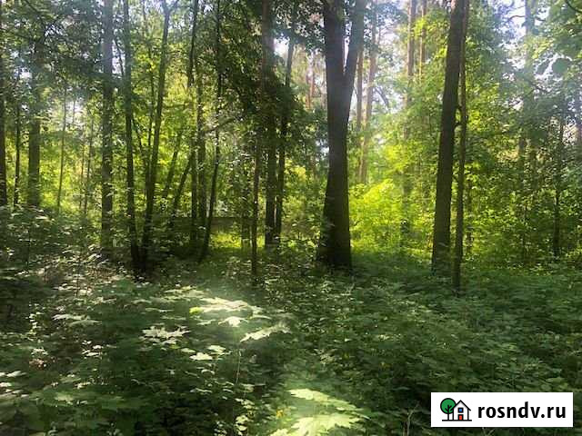 Участок ИЖС 18 сот. на продажу в Раменском Раменское - изображение 1