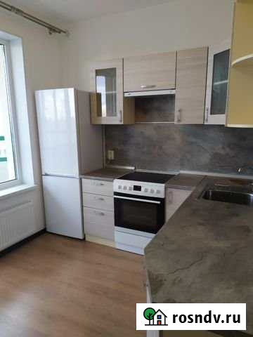 1-комнатная квартира, 36 м², 16/24 эт. в аренду на длительный срок в Мурино Мурино - изображение 1