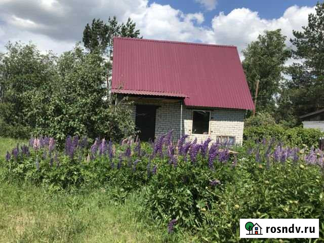 Дом 45 м² на участке 5.9 сот. на продажу в Южном Алтайского края Южный - изображение 1