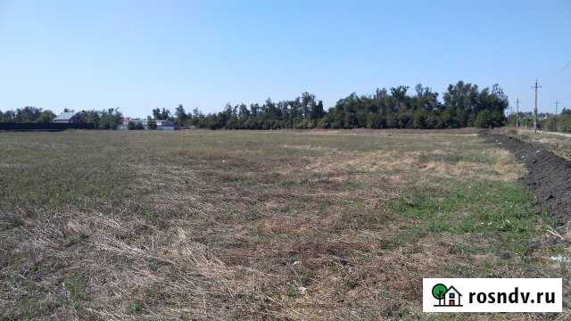 Участок промназначения 140 сот. на продажу в Березовом Краснодарского края Березовый - изображение 1