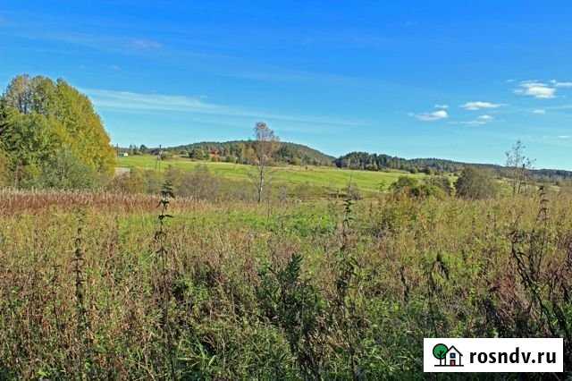 Участок СНТ, ДНП 55 сот. на продажу в Бегуницах Бегуницы - изображение 1