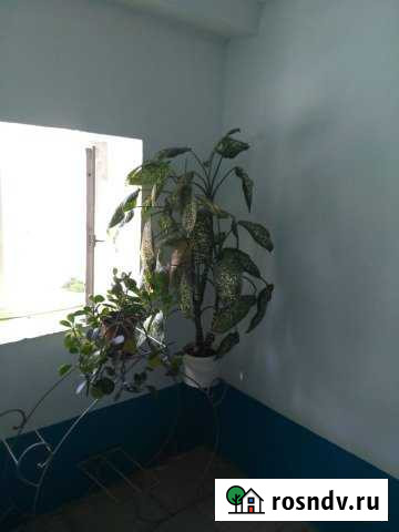 3-комнатная квартира, 69 м², 3/5 эт. на продажу в Горячем Ключе Горячий Ключ - изображение 1