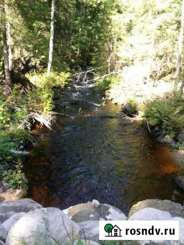 Участок СНТ, ДНП 20 сот. на продажу в Каменке Ленинградской области Каменка - изображение 1