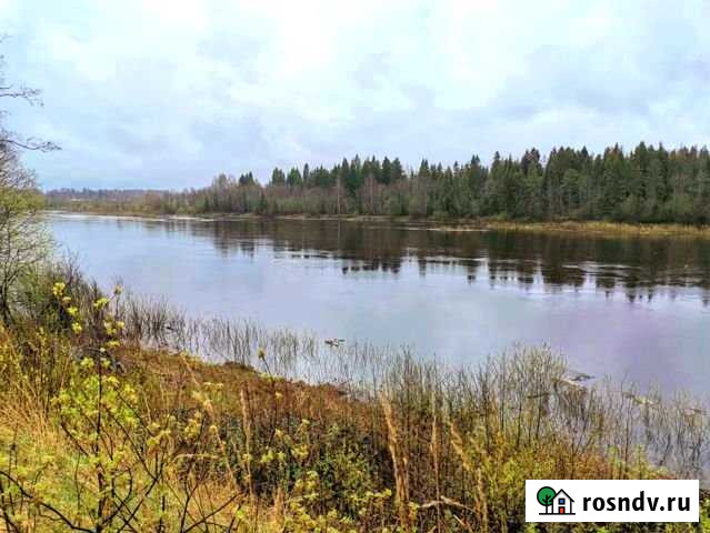 Участок ИЖС 15 сот. на продажу в Устюжне Устюжна - изображение 1